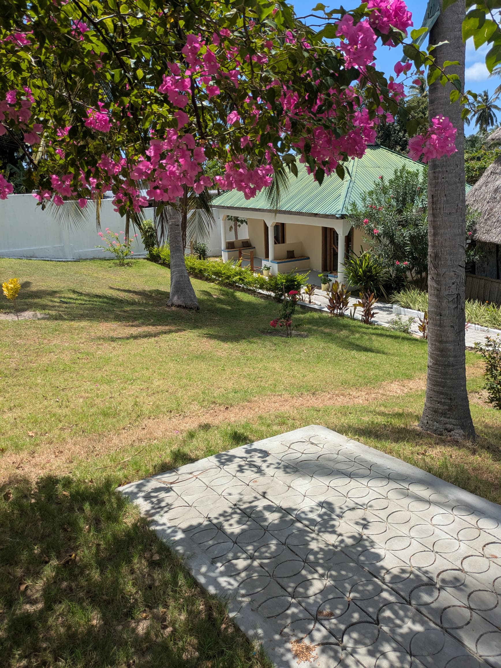 Mafia Neptune Villa Lodge