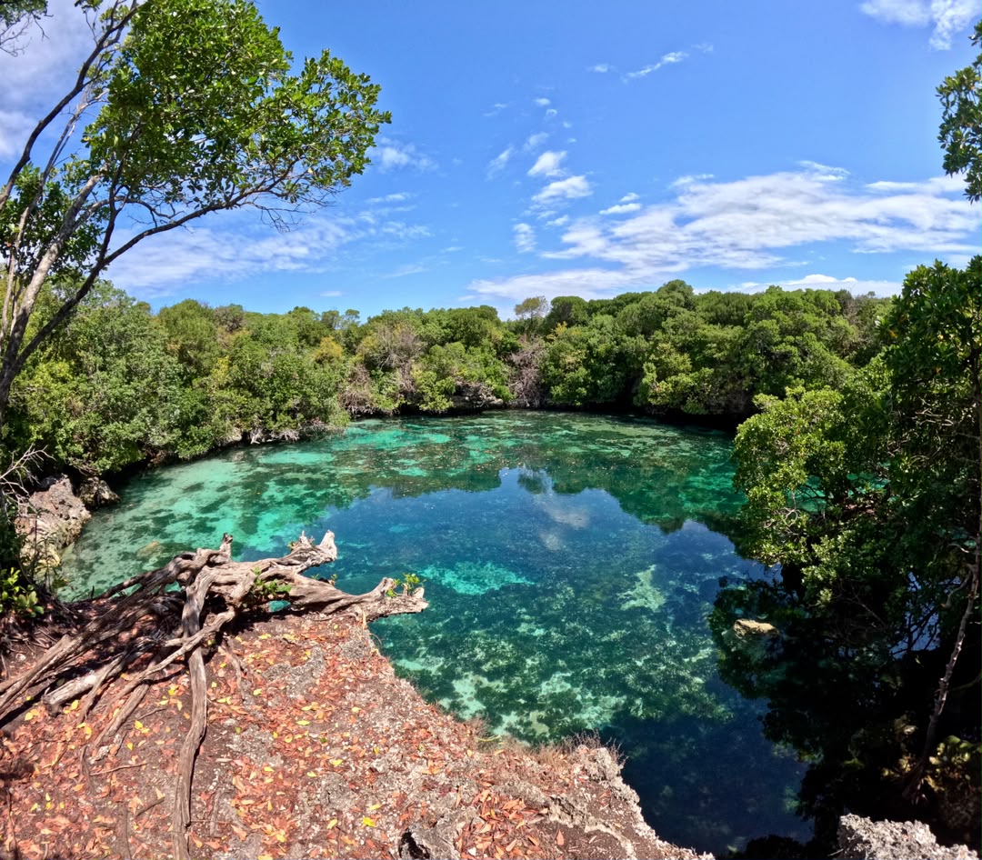 Chole Bay Discovery: Reef, Ruins, & Blue Lagoon